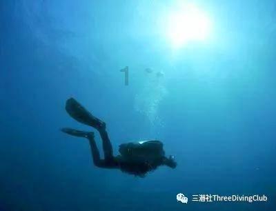 小猫钓鱼正版下载中文版